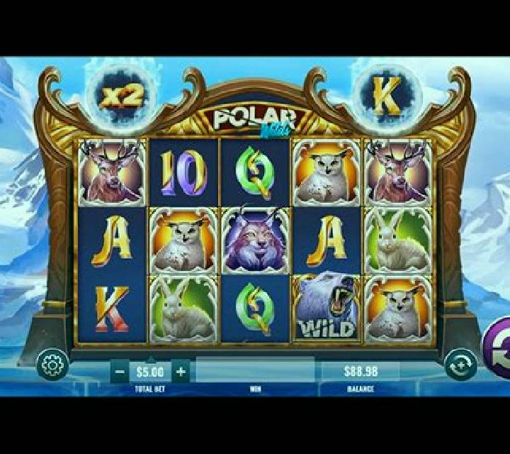 Polar Wilds: Play slot machine