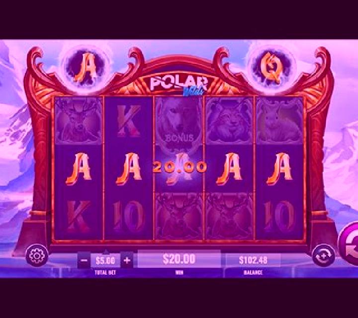 Polar Wilds: Play slot