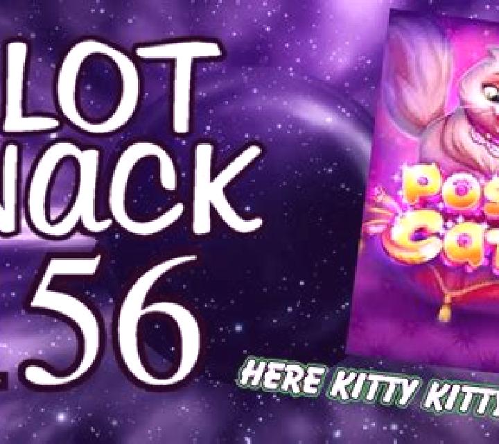 Posh Cats online slot
