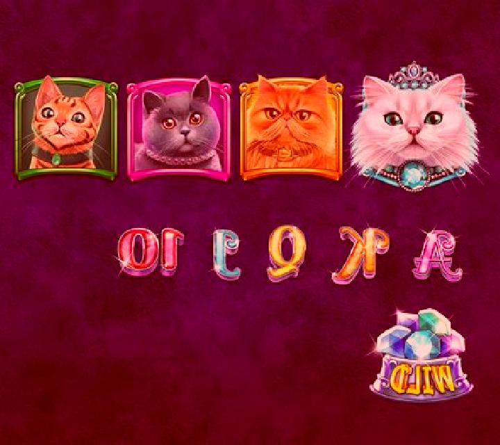 Posh Cats slot game