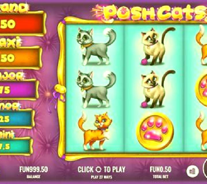Posh Cats slot