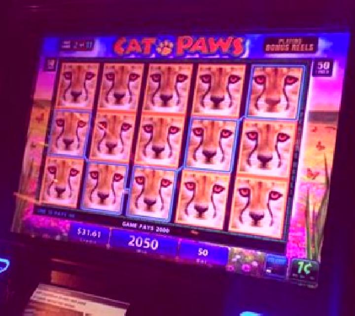Power Paws slot machine
