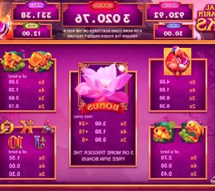 Power Prizes Eternal Mandarin Ducks slot game