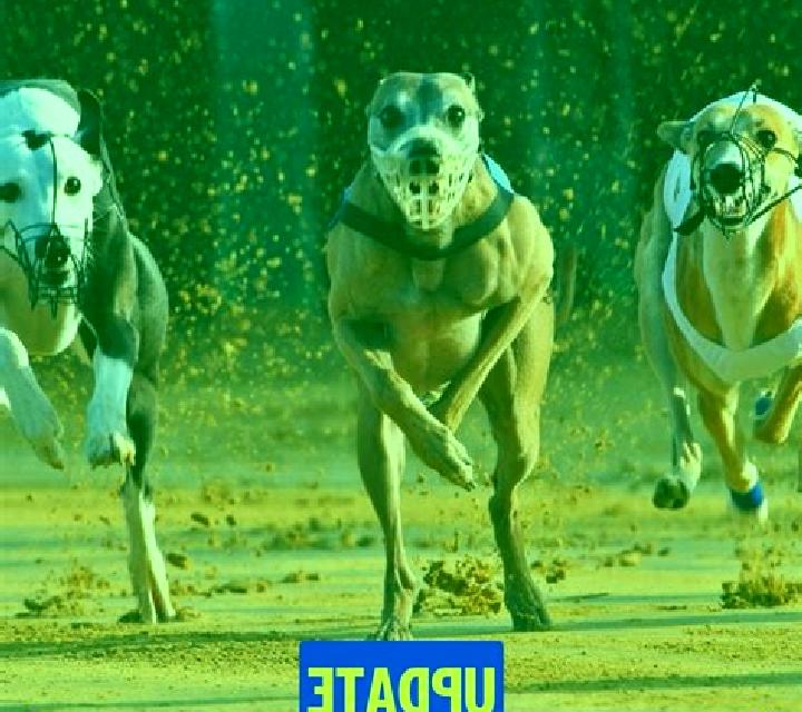 Pre-recorded Dog Racing slot game
