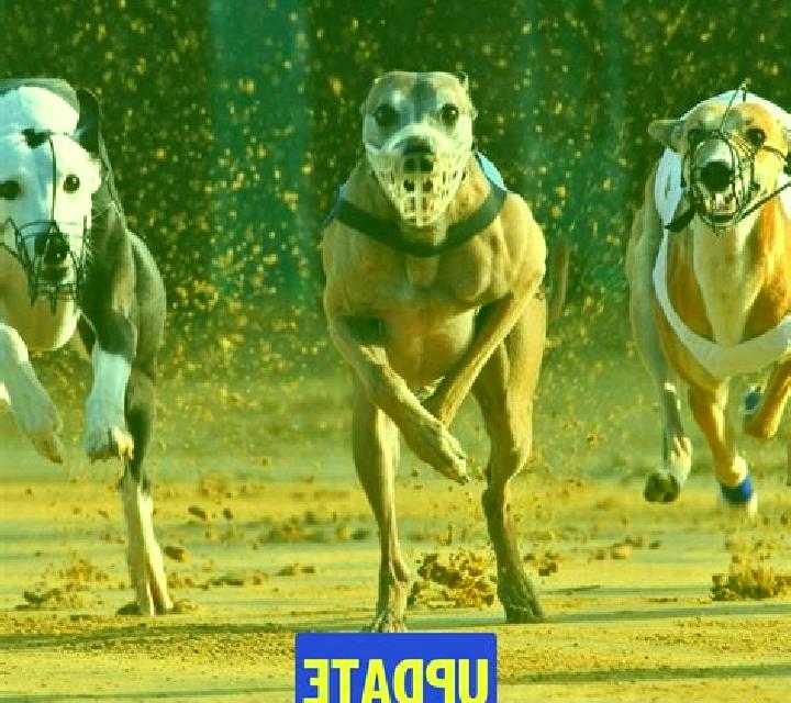 Pre-recorded Dog Racing slot
