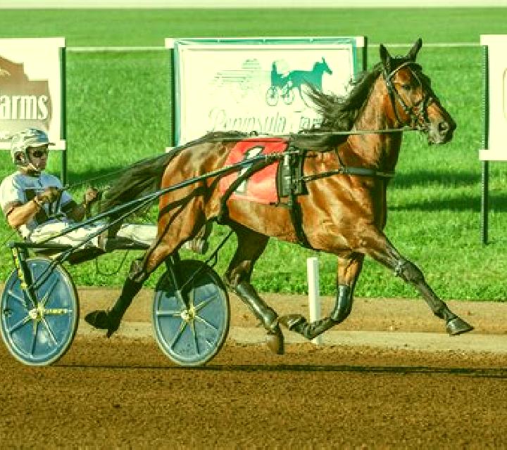 Premier Trotting slot game