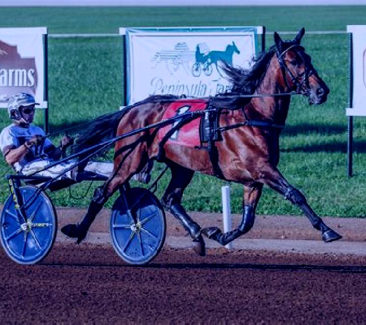 Premier Trotting slot