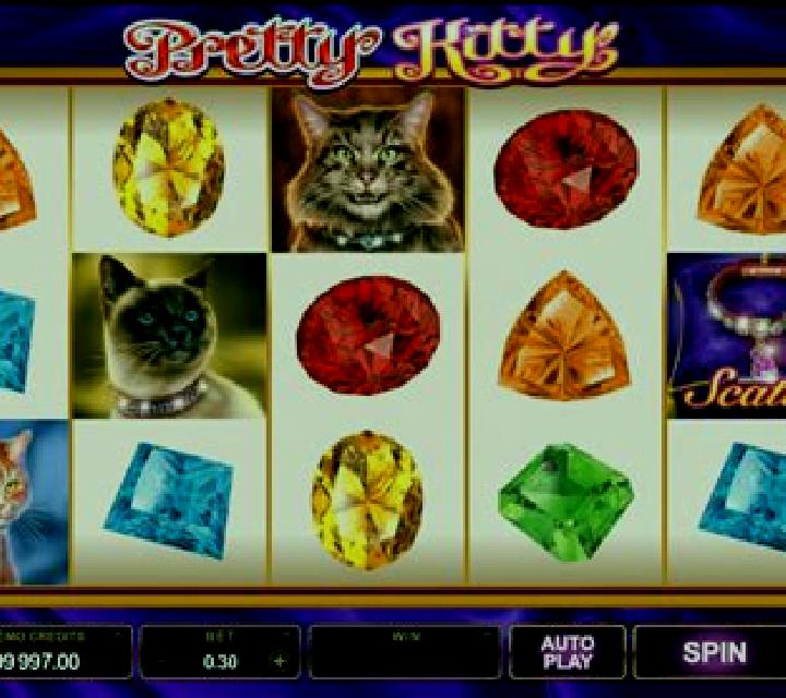 Pretty Kitty slot game