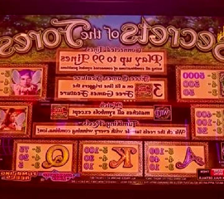 Princess of the Forest slot game