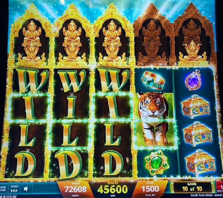 Princess of the Jungle slot machine