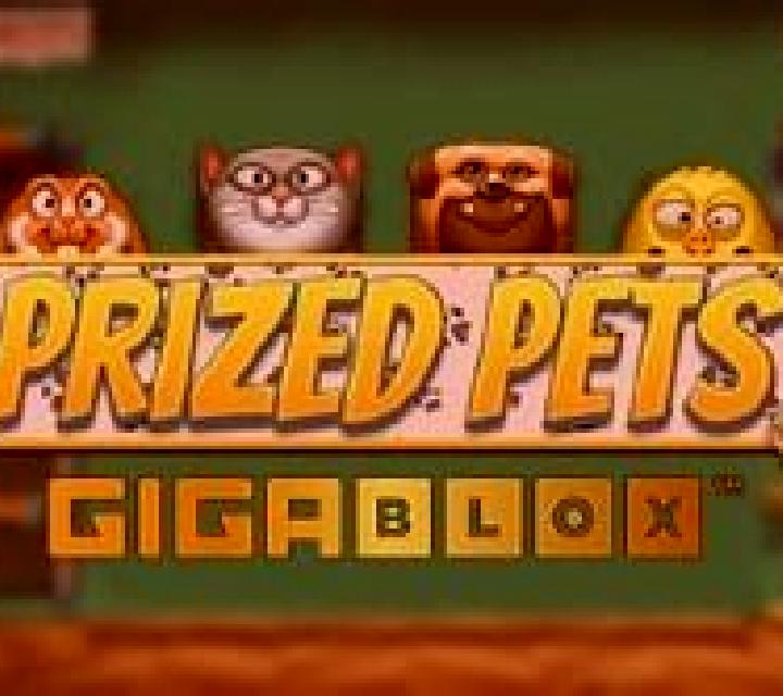 Prized Pets Gigablox slot game