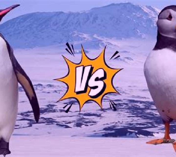 Puffin King online slot