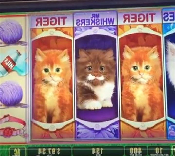 Puppies and Kittens slot game