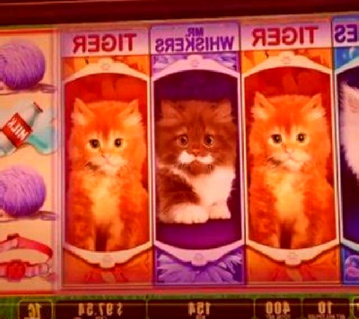 Puppies and Kittens slot machine
