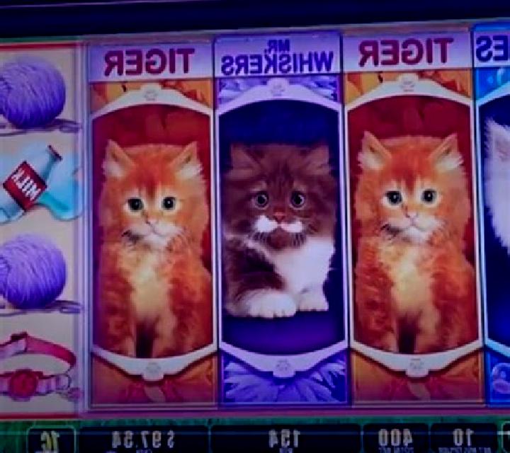 Puppies and Kittens slot