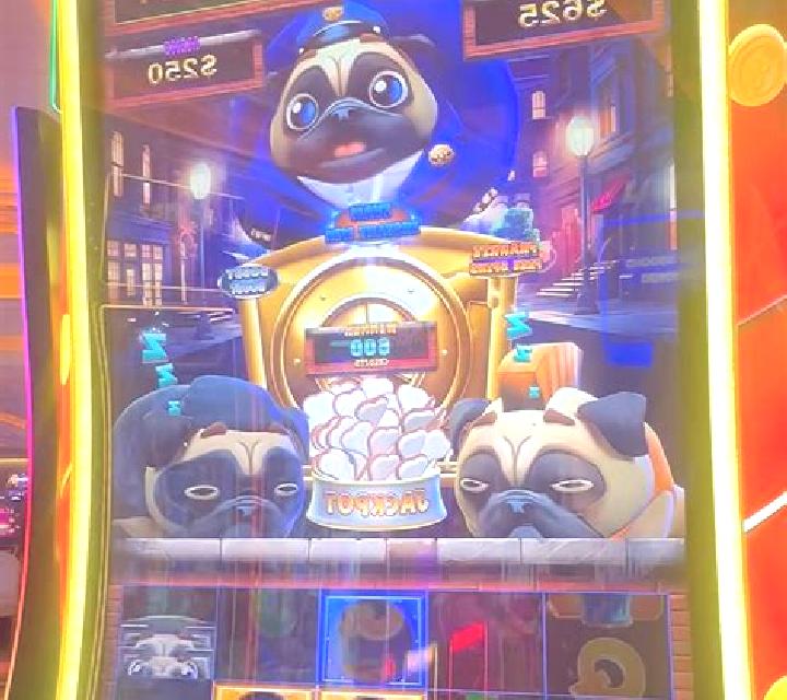 Puppy Payday Scratch slot machine