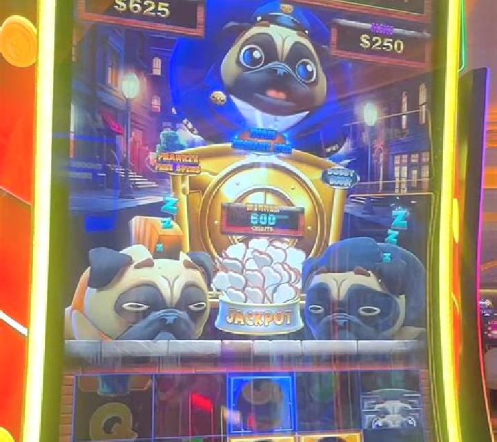 Puppy Payday slot game