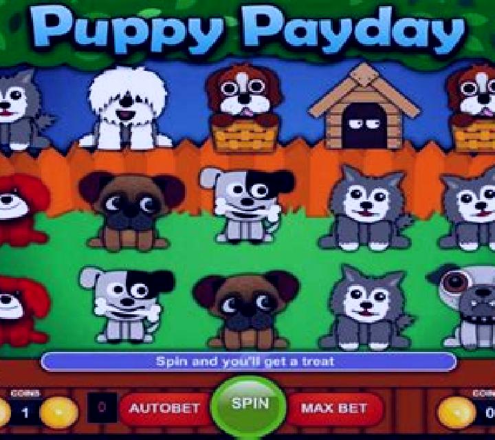 Puppy Payday slot