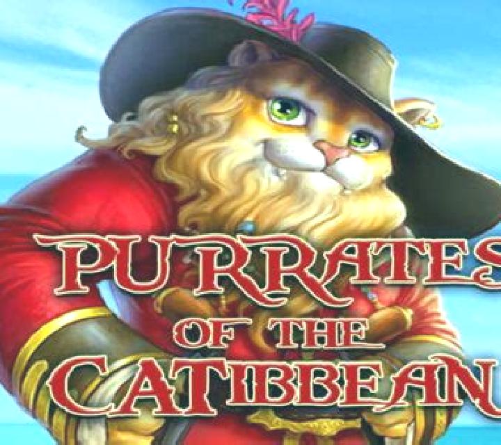 Purrates of the Catibbean slot game
