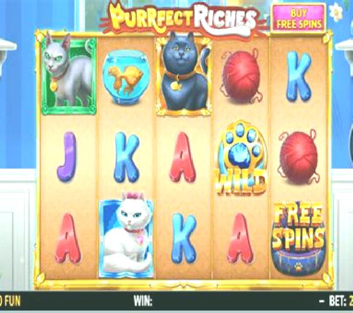 Purrfect Riches slot