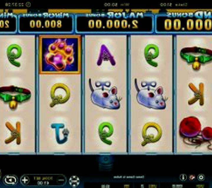 Pussy Cat slot