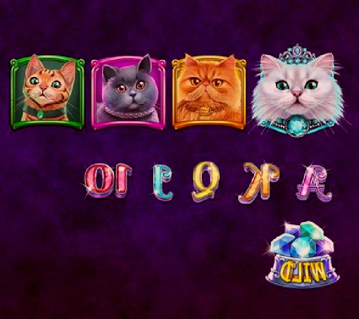 Pussy Cats slot game