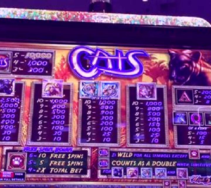 Pussy Cats slot machine