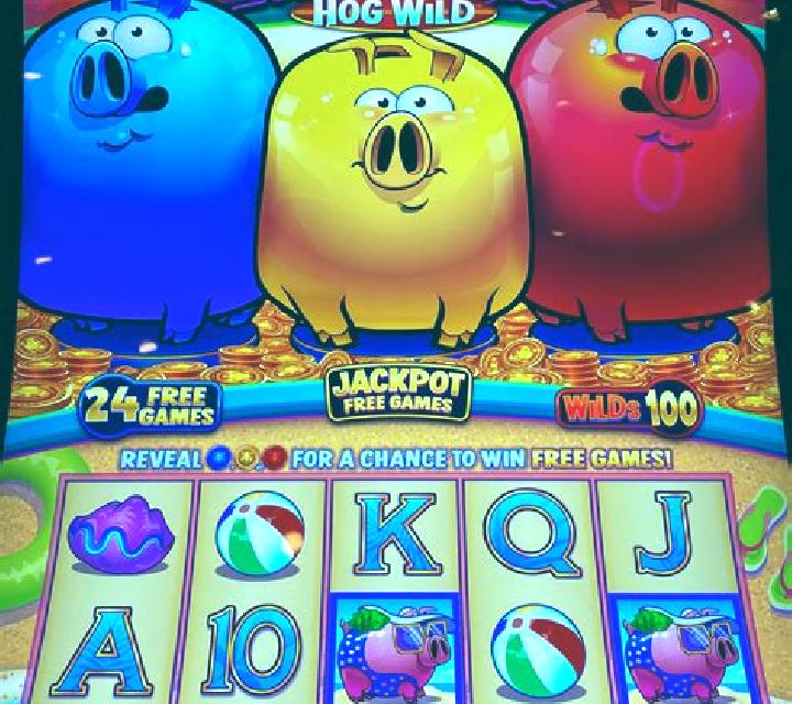Pyramid Piggies slot machine