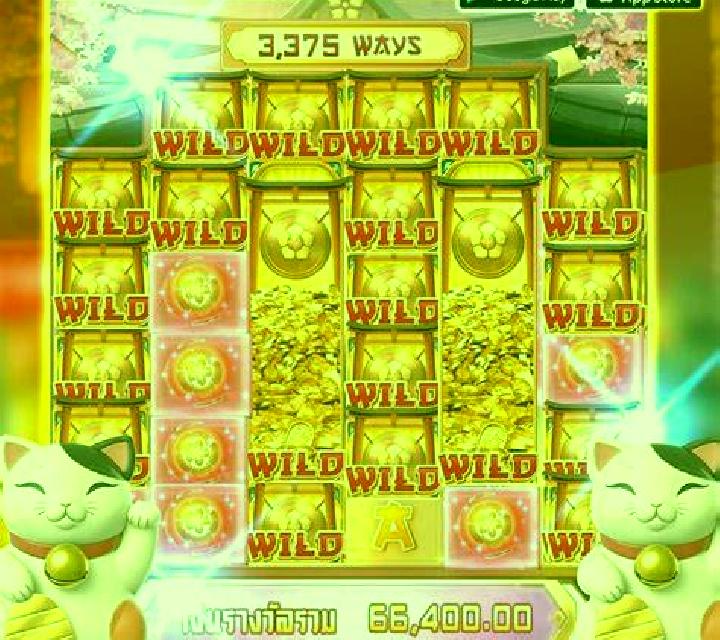 Quad Cat slot game