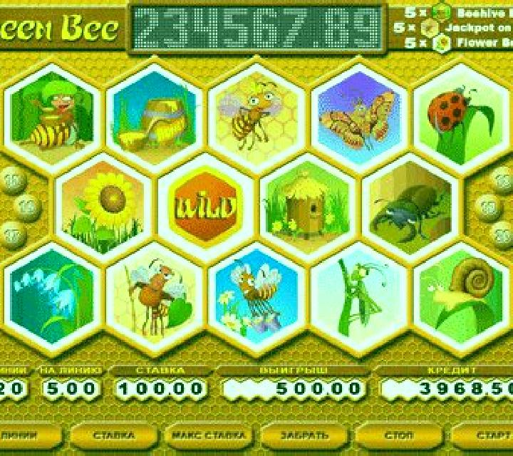 Queen Bee slot game