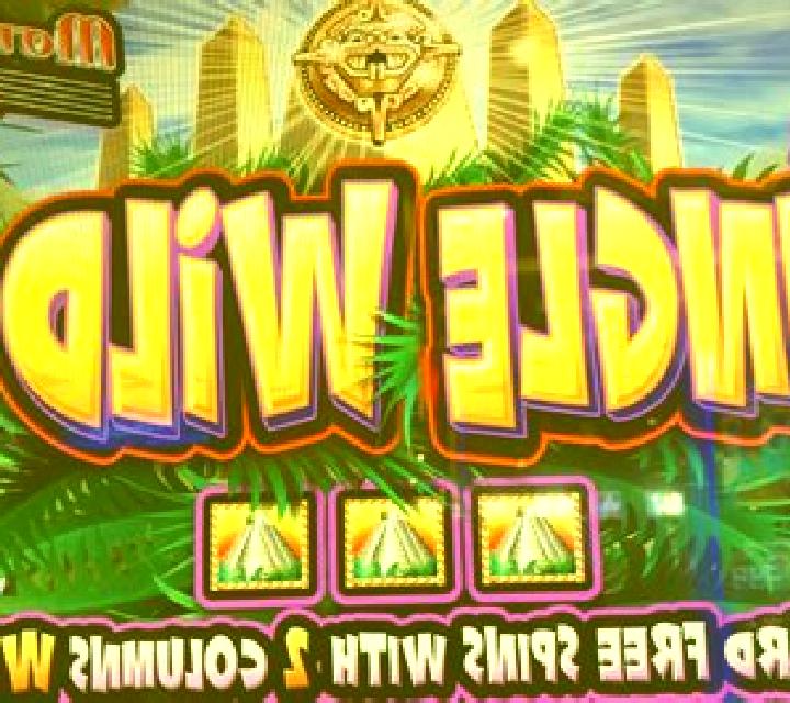 Queen of the Wild II slot machine