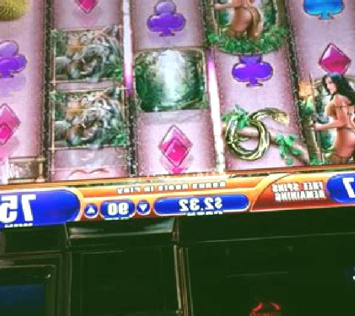 Queen of the Wild slot