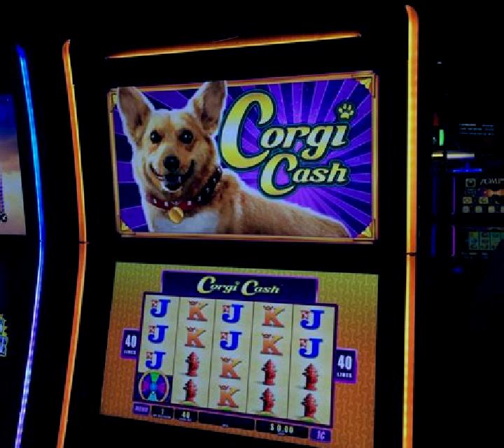 Queen s Corgi slot machine