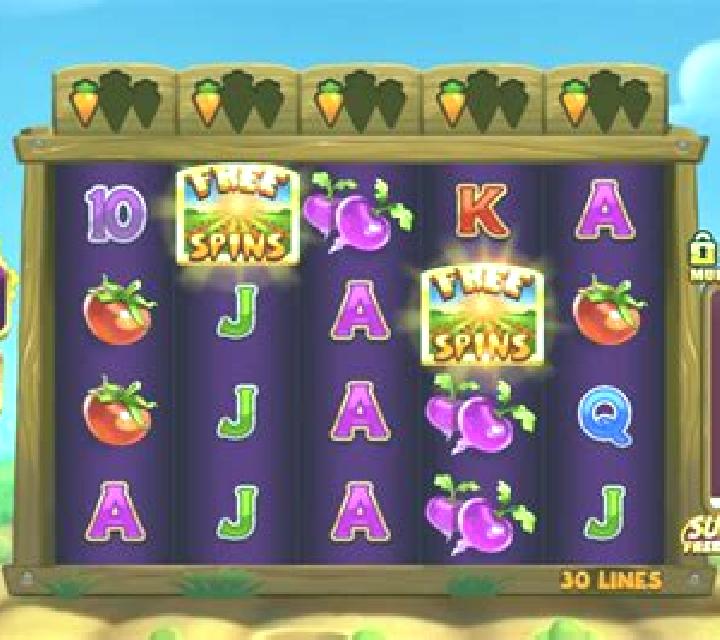 Rabbit Fields slot game