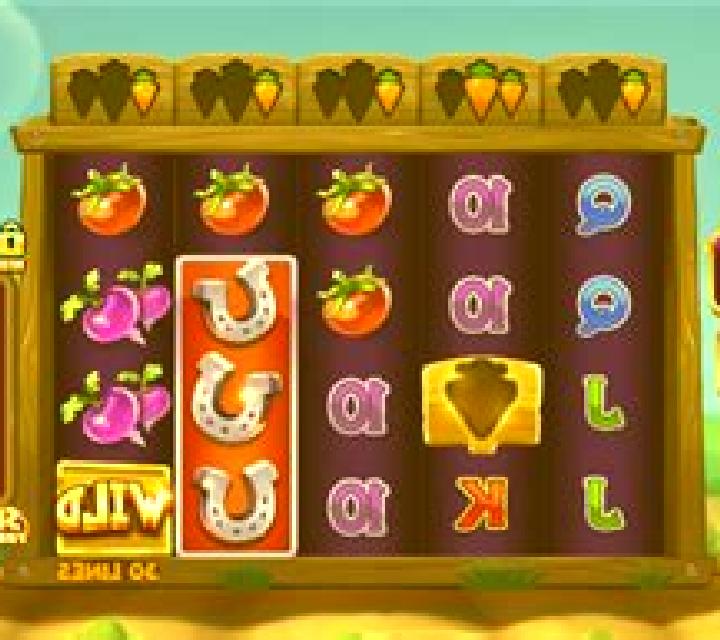 Rabbit Fields slot machine