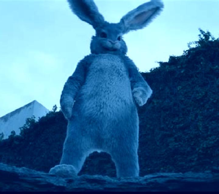 Rabbit In The Hat 2 slot game