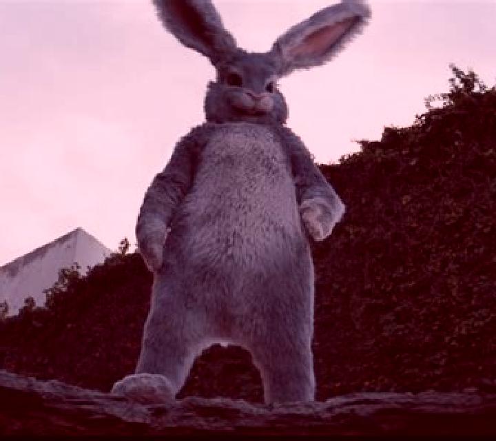 Rabbit In The Hat 2 slot