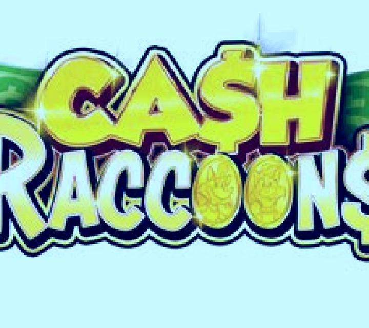 Raccoon slot machine