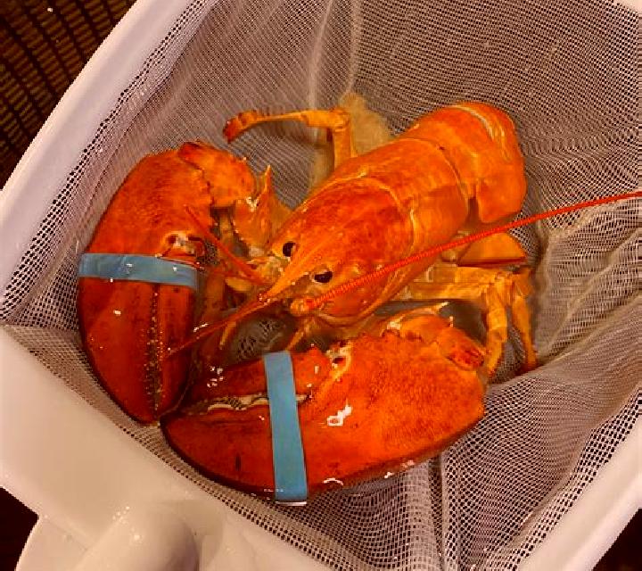 Rainbow Lobster Pots 2 slot