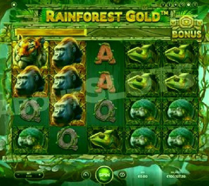Rainforest Gold slot machine