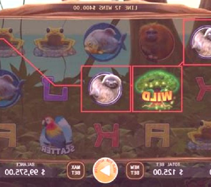 Rainforest online slot