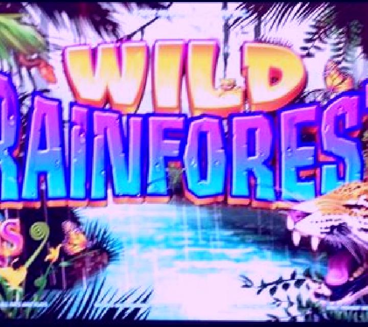 Rainforest slot machine