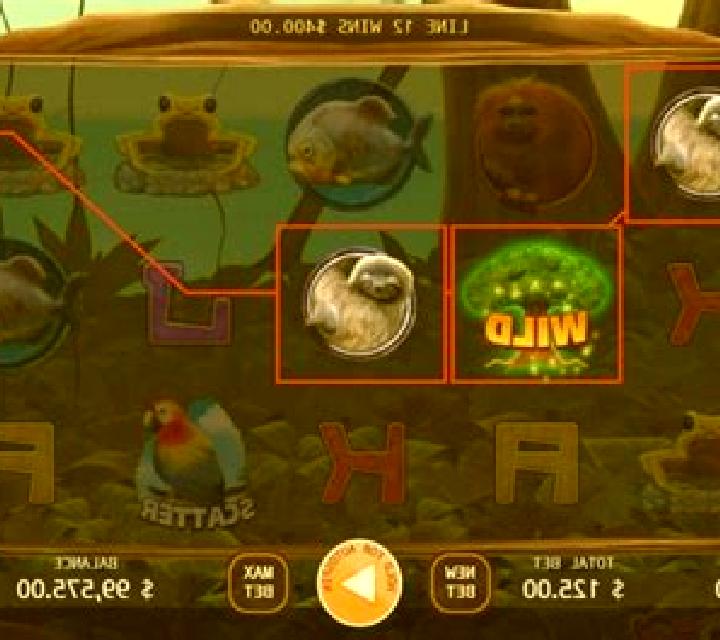 Rainforest slot