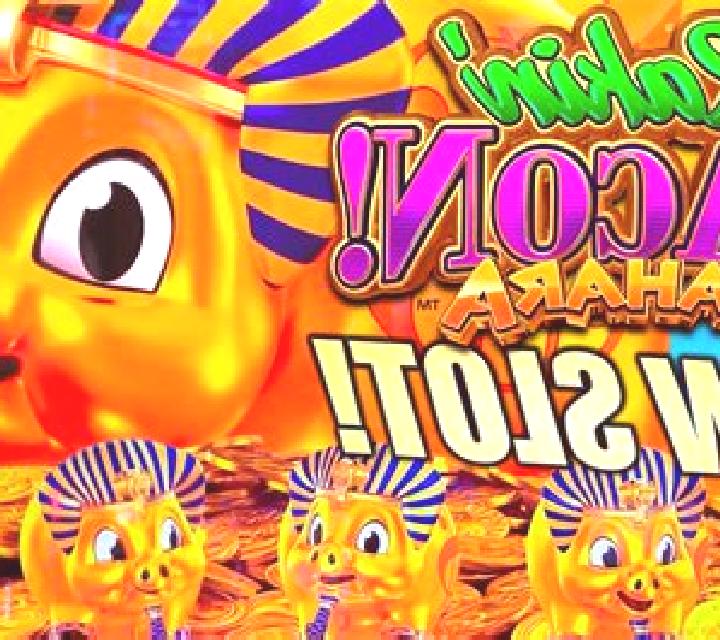 Rakin Bacon Sahara slot game