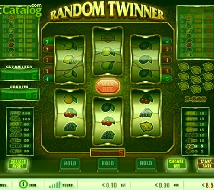 Random Twinner slot