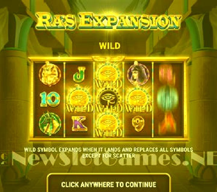 Ra s Expansion slot