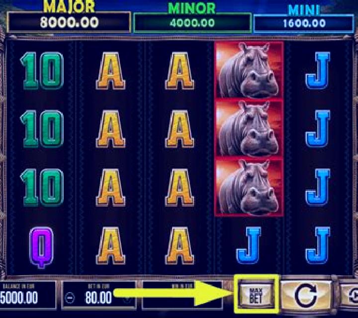 Realm of Lions slot