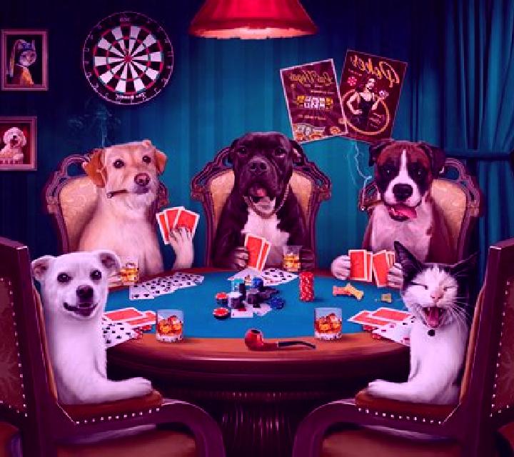 Red Dog Poker online slot