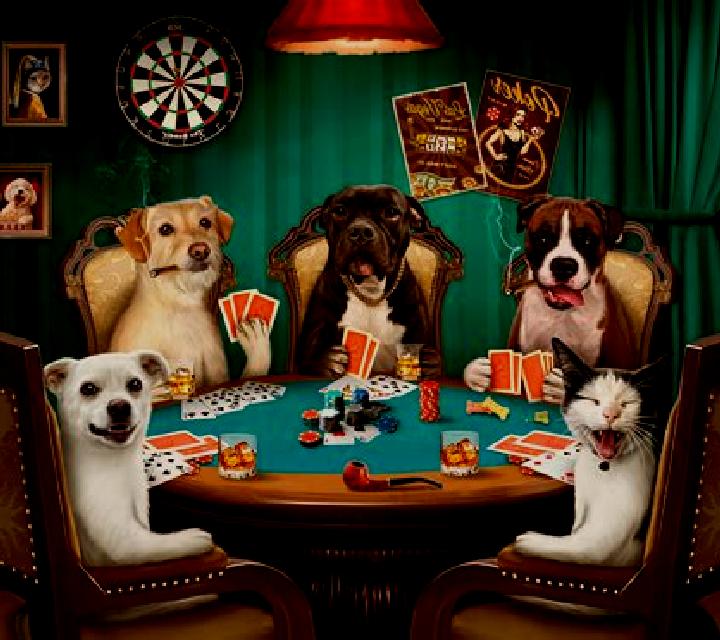 Red Dog Poker slot game