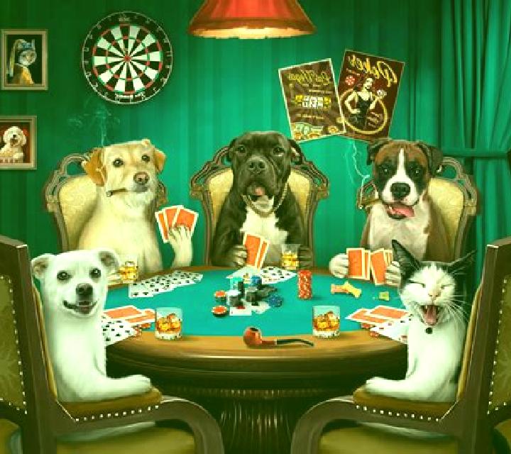 Red Dog Poker slot machine